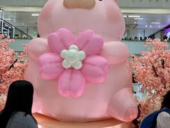 -新城市广场