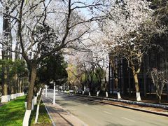 -吉林大学(南岭校区)