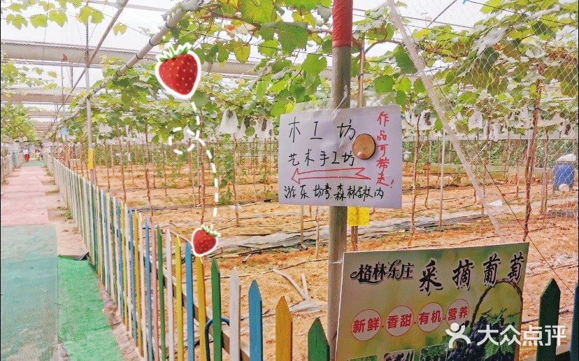 夏日亲子出游｜一定要打卡的一家儿童农场乐园！！