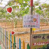 夏日亲子出游｜一定要打卡的一家儿童农场乐园！！