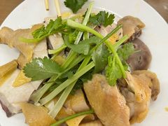 -文昌鸡饭店110号(中山路店)