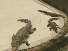 -水洞沟旅游区