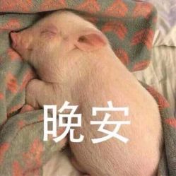 点击看大图 -MuseMarry婚纱(前海嘉里中心店)