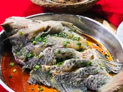 非洲鲫-高州佬美食城(香洲店)