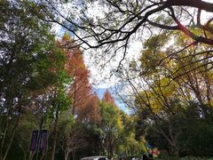 -西溪国家湿地公园