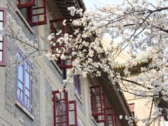 -武汉大学-樱园