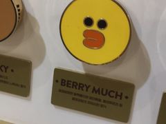 -line friends(明洞旗舰店)