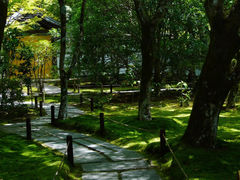 -西芳寺(苔寺)