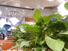 大堂-云海肴·汽锅鸡·云南菜(广安门天虹店)