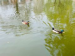 -丰台花园