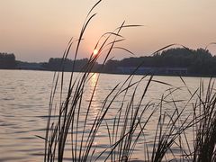 -大兴滨河森林公园