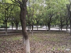 -安飞驰驾校·学车连锁(金高店)