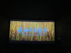 -CGV影城(黄河道ScreenX店)