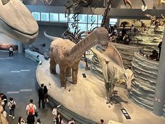 -国家自然博物馆