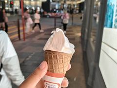 -富豪雪糕车流动点(尖沙咀店)