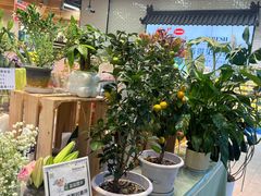 -7fresh七鲜(大族广场店)