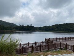 -海南热带雨林国家公园吊罗山景区