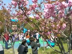 -浦鸿会尚莊亲子餐厅(碧云店)