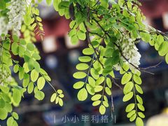 -湘子庙