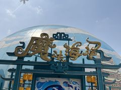 -海合安武汉极地海洋公园