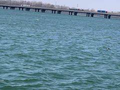 -丁香湖公园