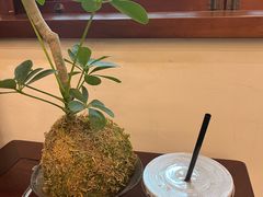 -练塘古镇