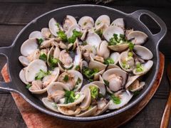 姜蓉沙白-鹅掂·大岭山烧鹅