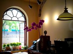这份宁静足以让你停下脚步。。-1901 Cafe(西四店)