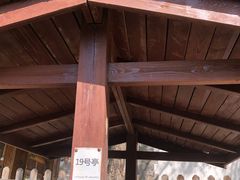 -尚庄度假村·庭台树下·户外烧烤·团建CS·轰趴营地(上庄水库店)
