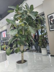 -永琪美容美发