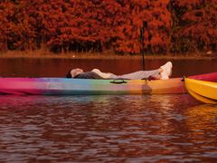 -上海海湾国家森林公园