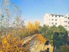 -安徽大学(磬苑校区)