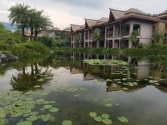 -广州从化都喜泰丽度假温泉酒店