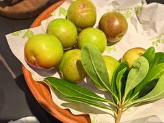 -季季山·云南野生菌火锅(上海首店)