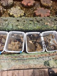 -钓虾工场·钓虾·赶海(回龙观店)