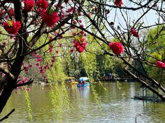 -扬州市茱萸湾风景区