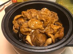 双菇面筋煲-新聚丰菜馆(太监弄店)