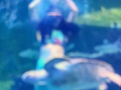 -嘉兴海底世界