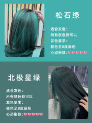 -YESIDO椰岛造型