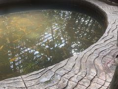 -龙达温泉生态城