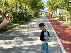 -上海长兴岛郊野公园