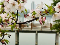 -艾溪湖湿地公园