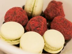 -蝶舍·MAISON PAPILLON