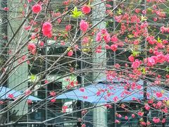 -北京丽晶酒店