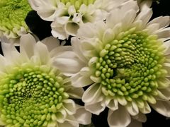 -春暖花开(西溪店)