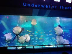 -泉城欧乐堡海洋极地世界