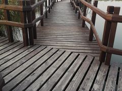 -西青郊野公园