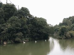 -千岛湖东南湖区