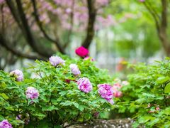 -江南大学(蠡湖校区)