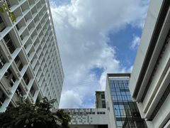-香港大学